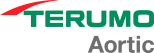 Terumo Aortic icon